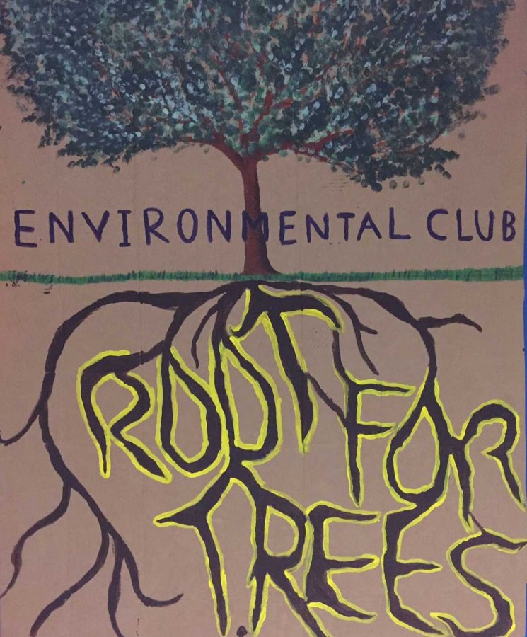 Environmental Club: Making a Difference