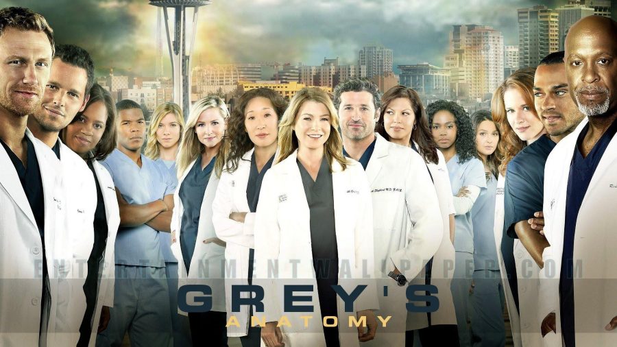 Greys Anatomy Review