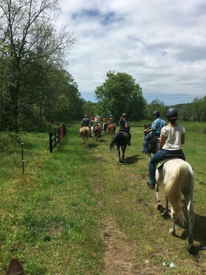 Roanoke+Ranch+for+Kids+advocates+restoration+and+healing+through+faith+and+horses