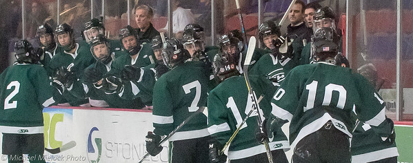 Hockey suffers tough overtime loss in Regional Semifinals 3-2