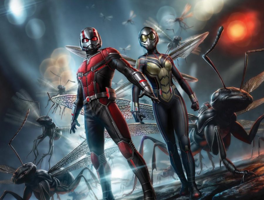 The Ant-Man and the Wasp is a good watch for a typical Avenger fanatic