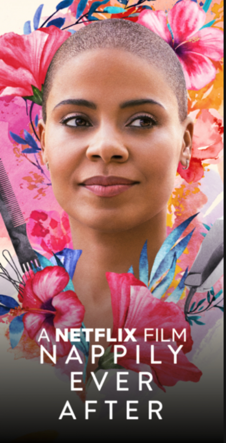 Nappily Ever After was your average feel-good movie