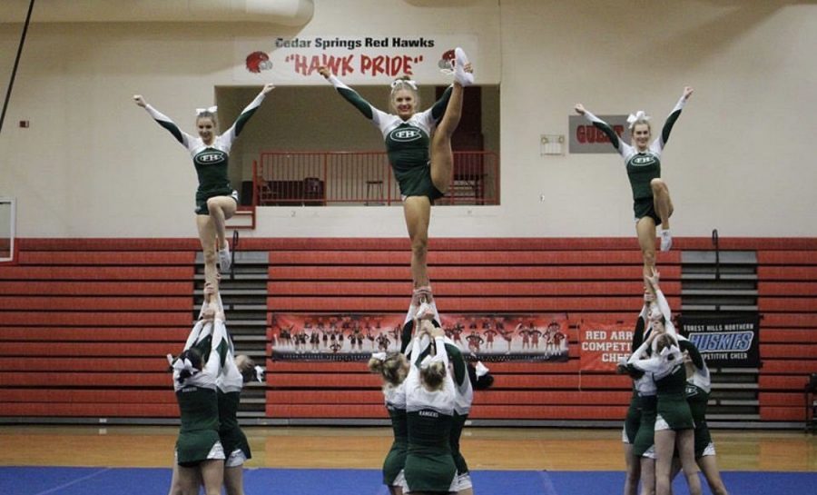 Competitive cheer places high at this weekends LMCCOA Invite