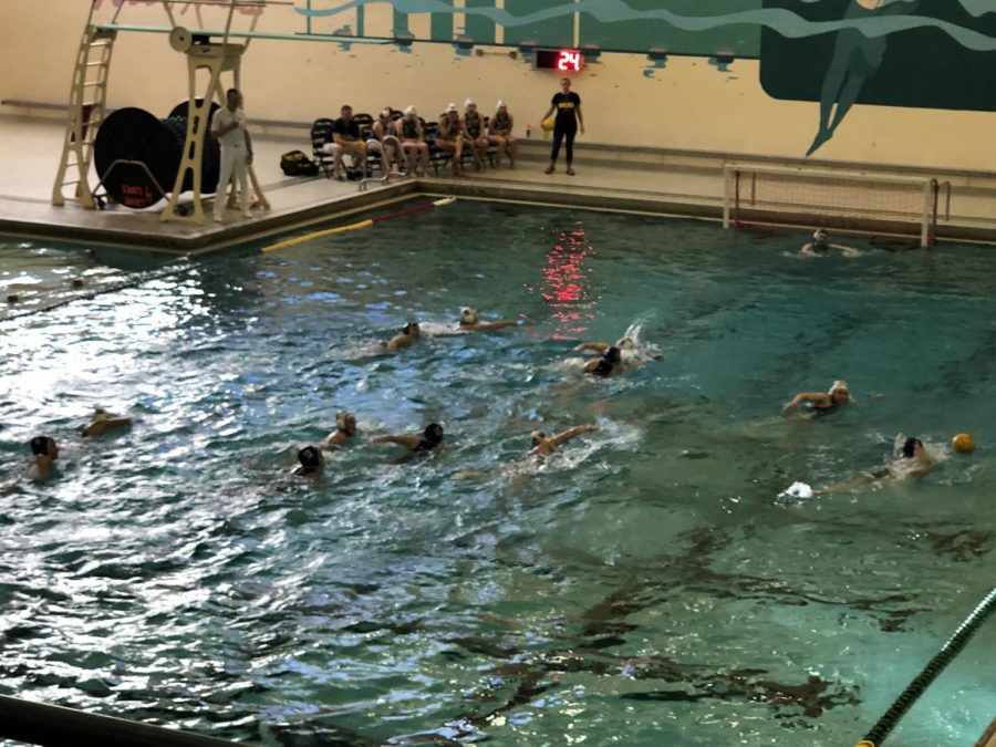 FH+Water+Polo+Senior+Night+2019%3A+Photo+Gallery