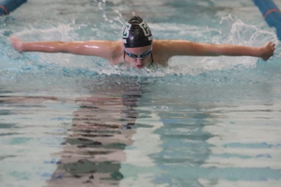 Girls swim and dive wins its final dual meet versus Northview