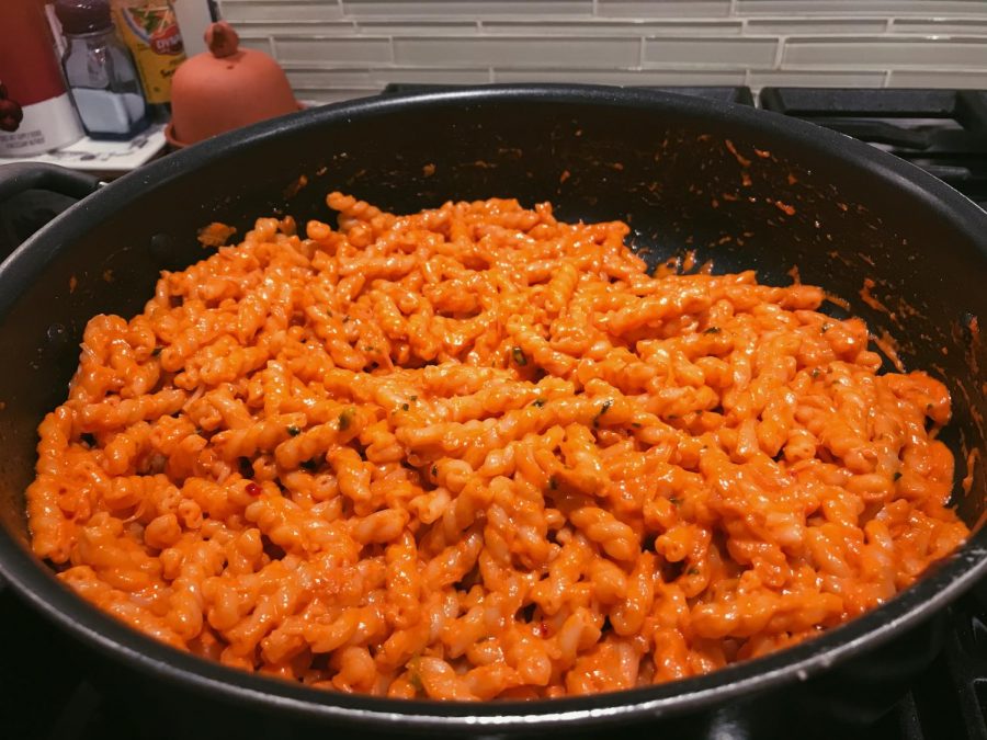 Gigi Hadids spicy vodka pasta recipe has shone a new light on my non-existent cooking career