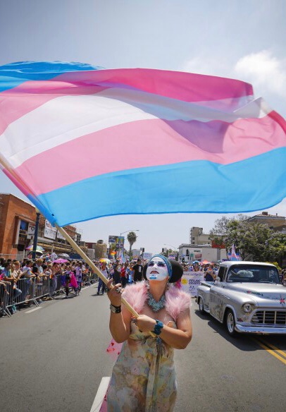 This is the flag for the transgender community, waved at the San Diego pride parade