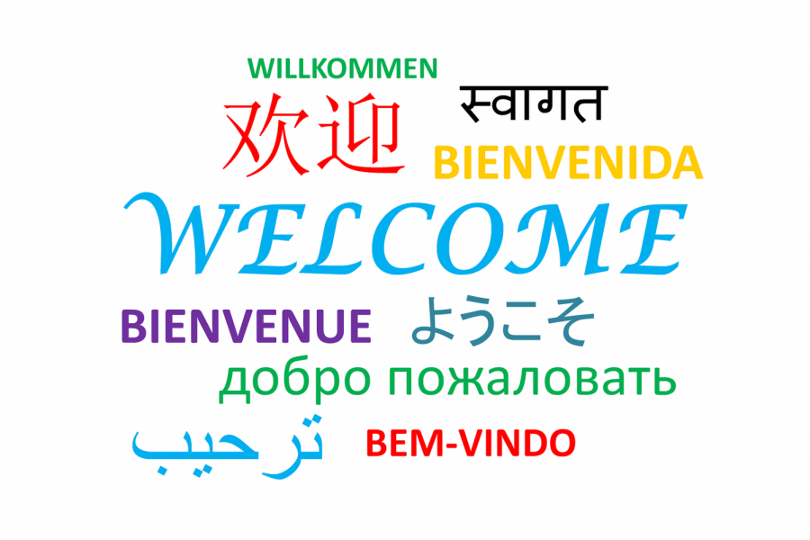 Students+at+FHC+experience+new+cultures+through+their+world+language+class