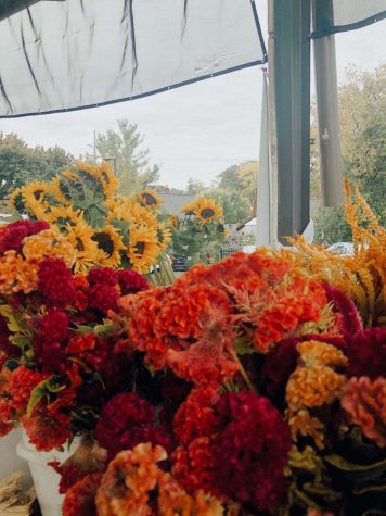 a wide array of flowers at a local farmers market