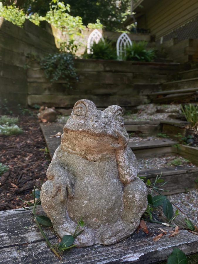 A frog statue that has rested on my back patio for as long as I can remember. 
