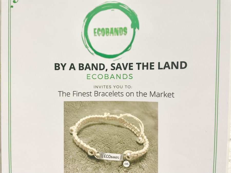 Intro to Business Q&As: Kyle Webb – EcoBands