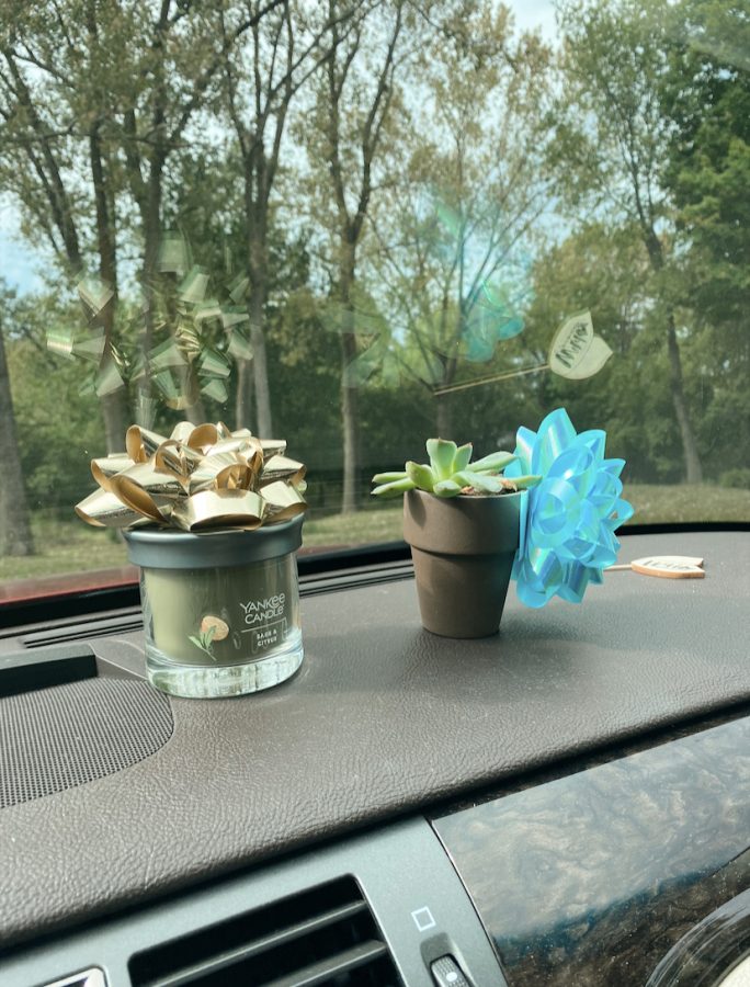 A little snapshot of whats becoming home—a candle, a succulent, and the bows we adorned them with