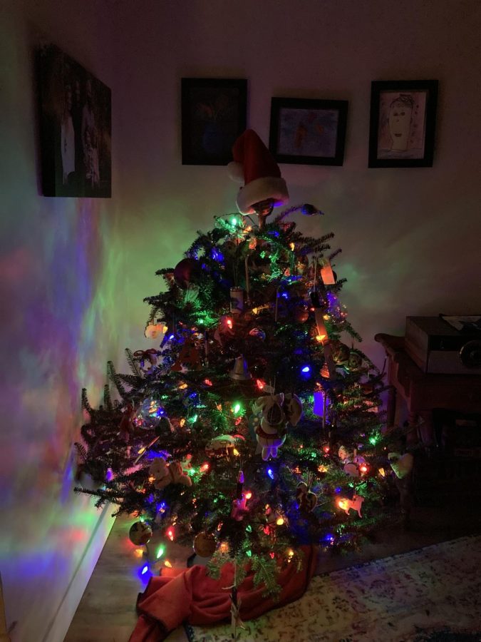 The traditions behind fake and real Christmas trees