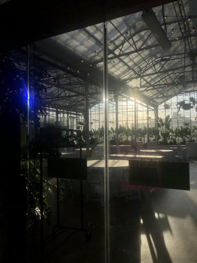 The+greenhouse+in+the+Downtown+Market+as+the+sun+was+starting+to+set