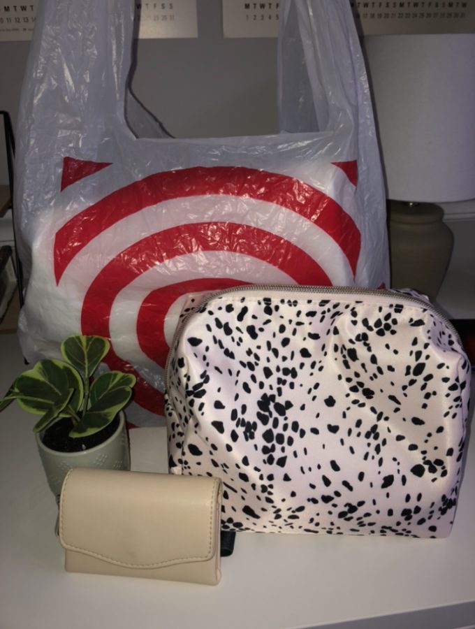 A few of the items mentioned in this review, including my target wallet, a fake plant from the Dollar Section, and my Sonia Kashuk makeup bag.