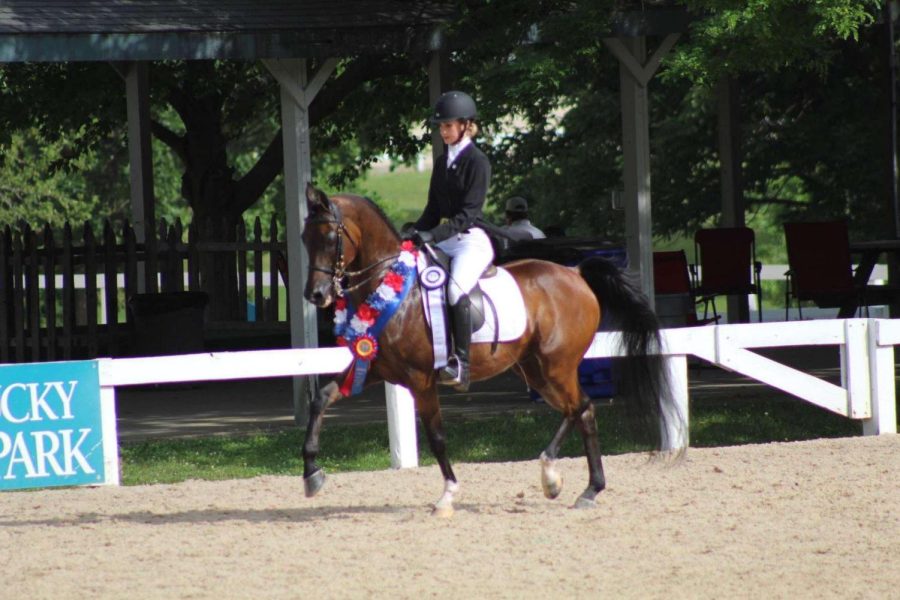 Claire and her horse, Frank, showing off some of their dressage moves.