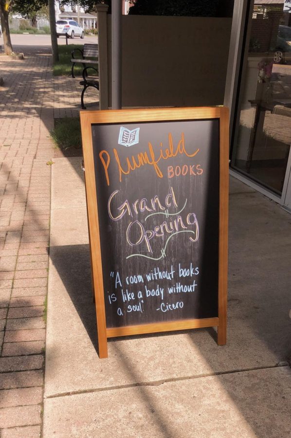 Plumfield Books is the serene scene every book lover needs in their life