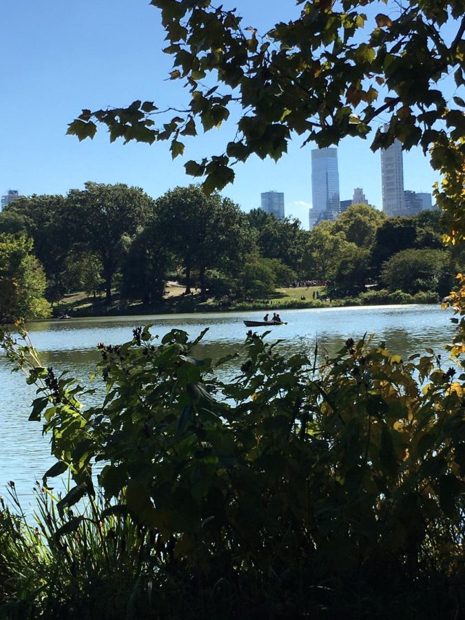 A pond in Central Park with the New York City skyline behind it