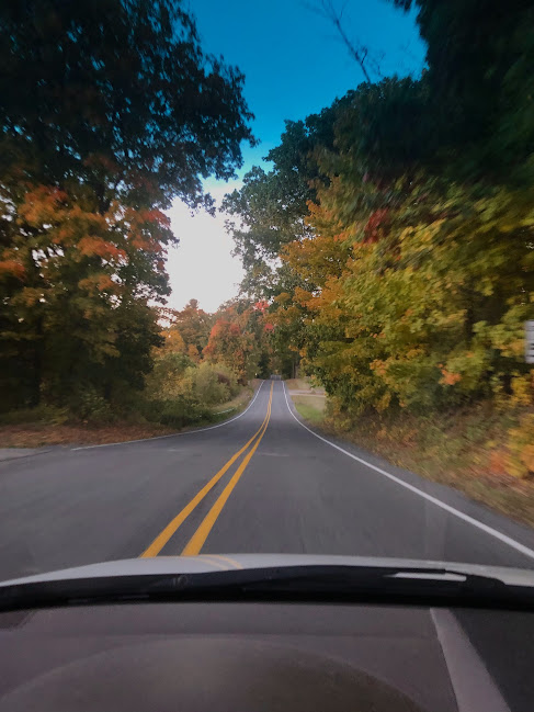The autumn trees changing color on the drive