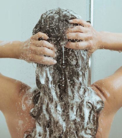 Hair washing is an important step to hygiene and appearance, its importance cannot be overlooked. 