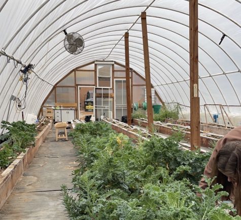 A photo of the inside of FHCs greenhouse, displaying the bent hoops that make the structure.