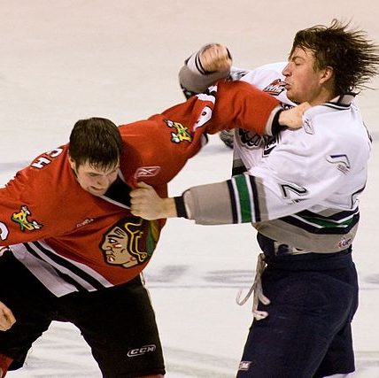 Hockey fights are a prime example of useless violence in sports.