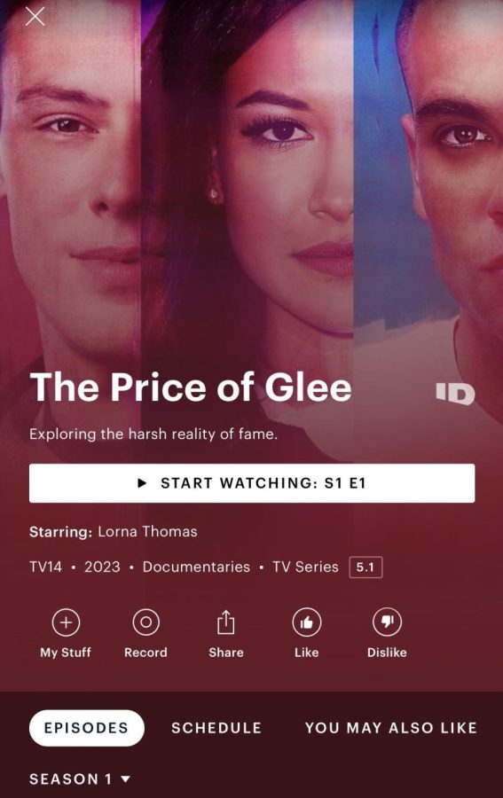 the+cover+of+The+Price+of+Glee