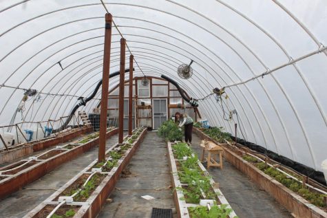 FHCs Greenhouse: Photo Gallery
