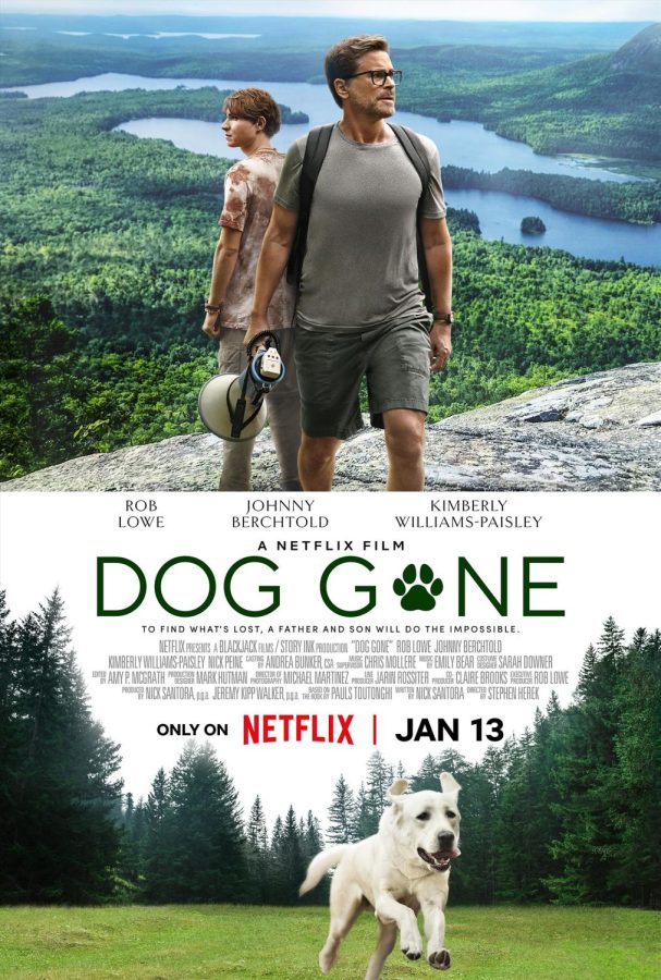 A picture of the movie poster for Dog Gone.