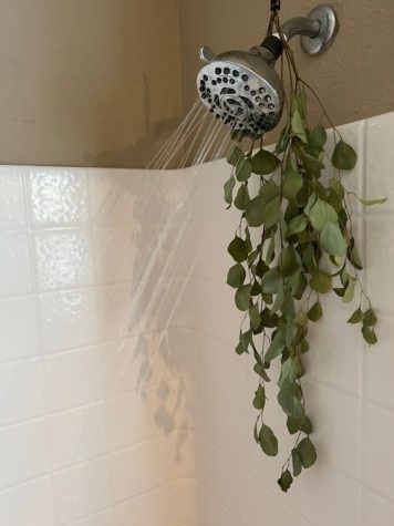 Showers are an act of self care, no matter when you take them
