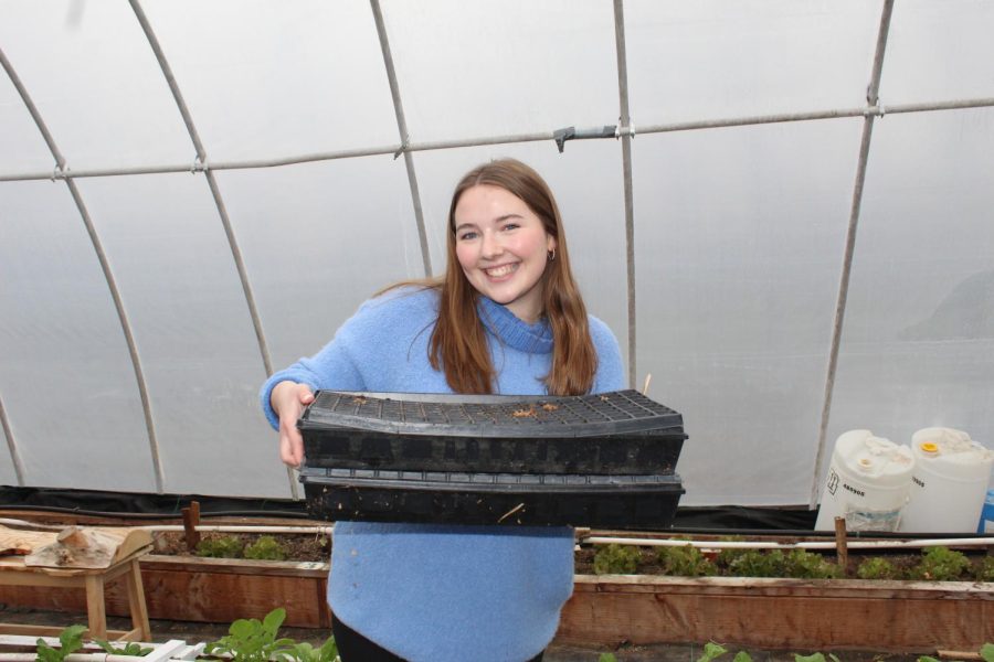 Senior Sarah Bethel is displaying her work within FHCs greenhouse.