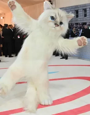 Jared Leto at the 2023 met Gala dressed in a catsuit to commemorate Karl Lagerfelds cat, Choupette.
