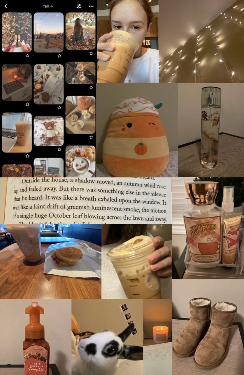 A+collage+of+my+fall+so+far%2C+including+various+pumpkin+spice+lattes+and+fall+scents.
