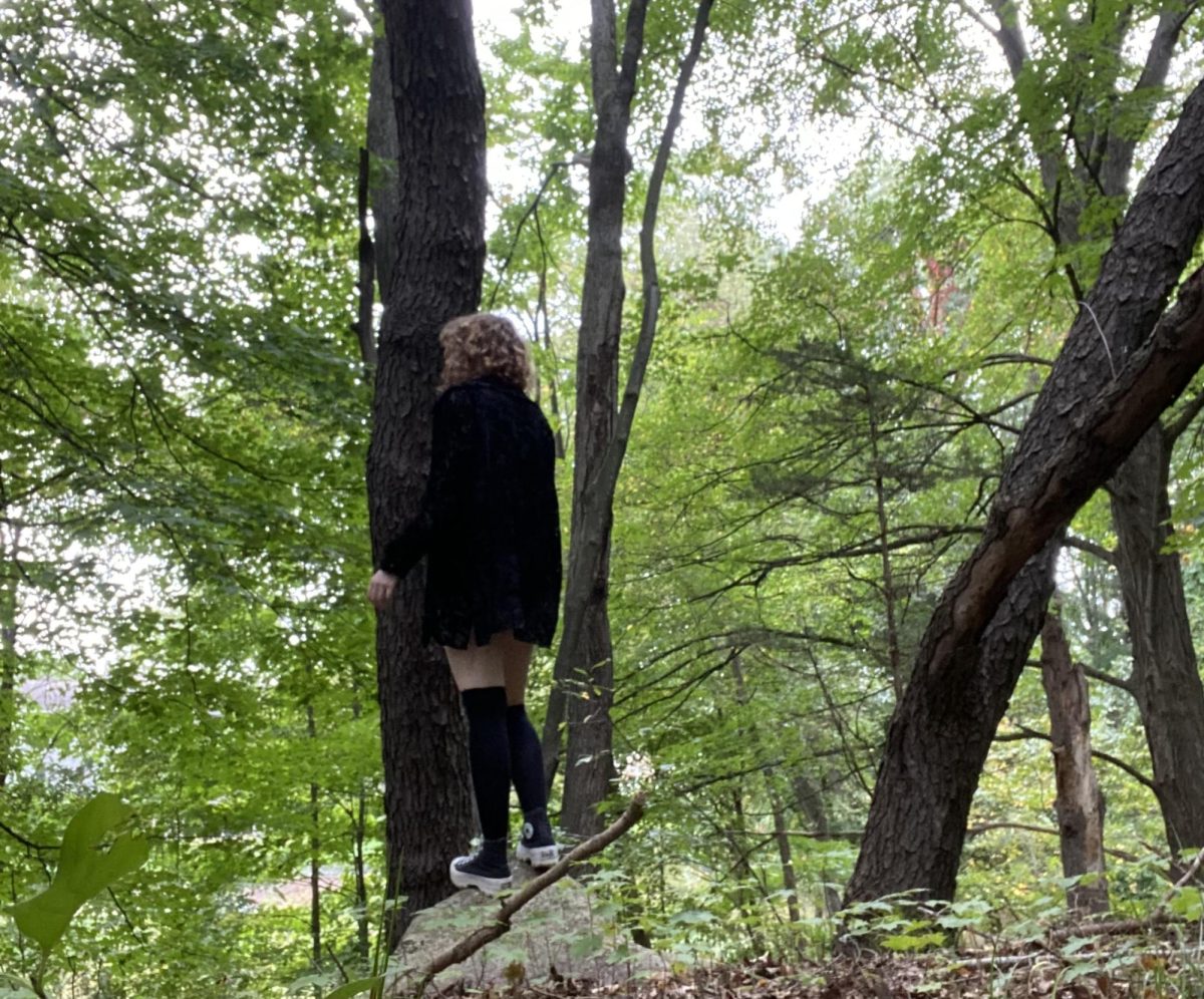 A photo of Nova in the woods for their transcendentalism project.
