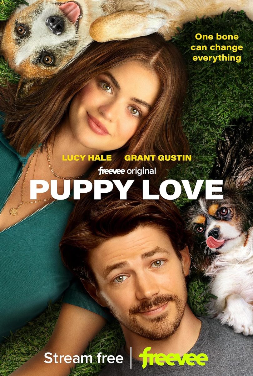 Puppy Love officially aired on August 18th of this year on Amazon Prime. 