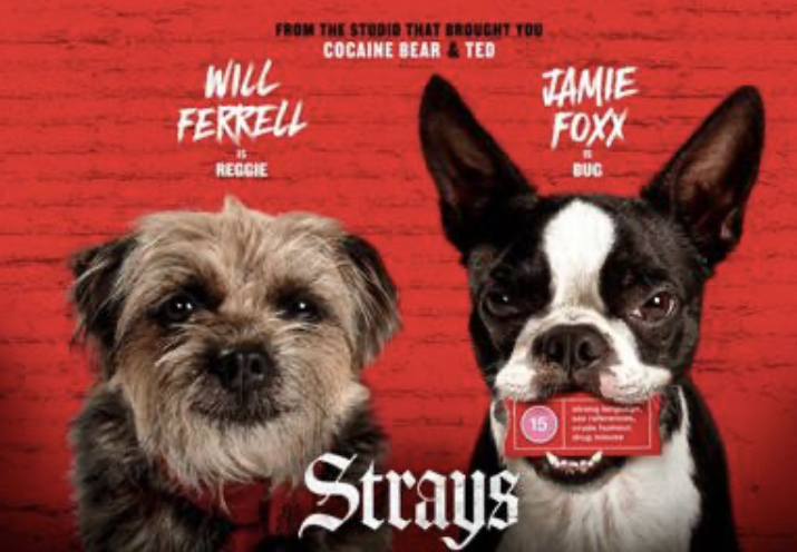 Strays+has+established+itself+as+a+comical+masterpiece