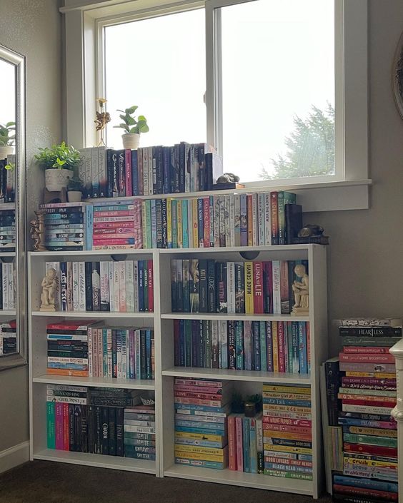 A shelf of books not unlike my own shelf at home.
