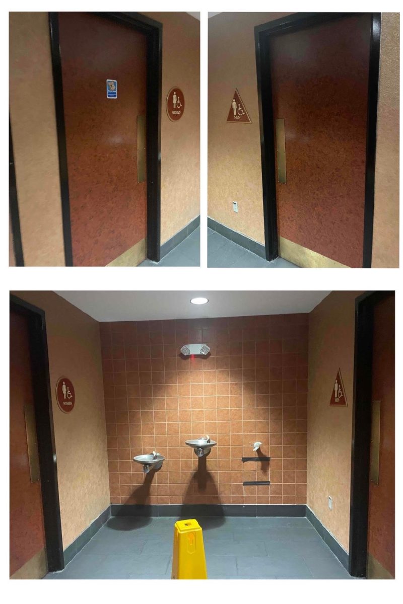Here is a photo of the two bathrooms at Phoenix Theatres: one with an available changing station and one without.