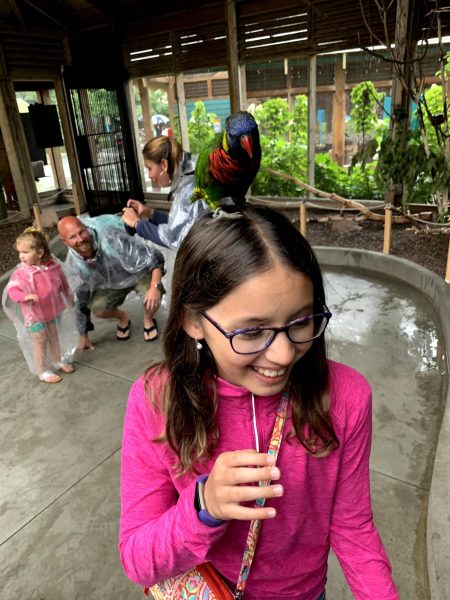 In this photo, I was shocked when this bird landed on my head at the Indianapolis Zoo in 2019.