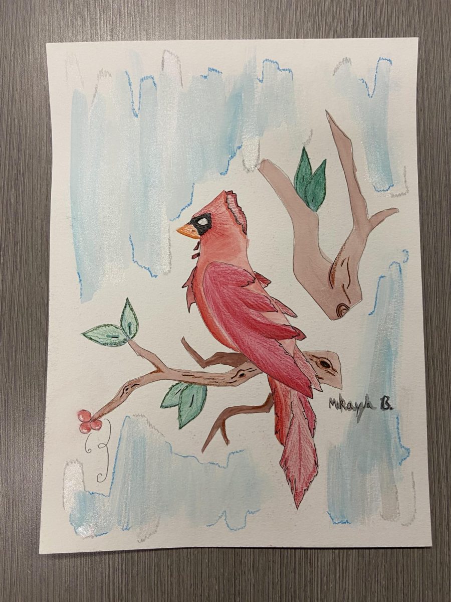 Watercolor Painting of the Cardinal 2/11