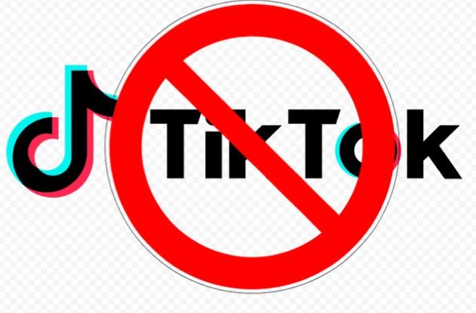If the bill eventually gets passed, there is a good chance that TikTok will be banned in the United States.