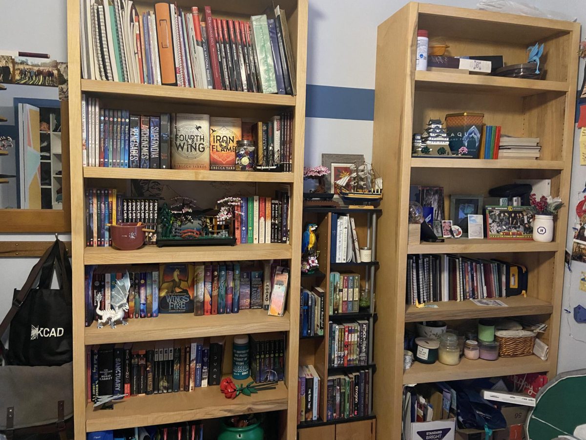 My+book+shelves+despite+not+being+book+smart.