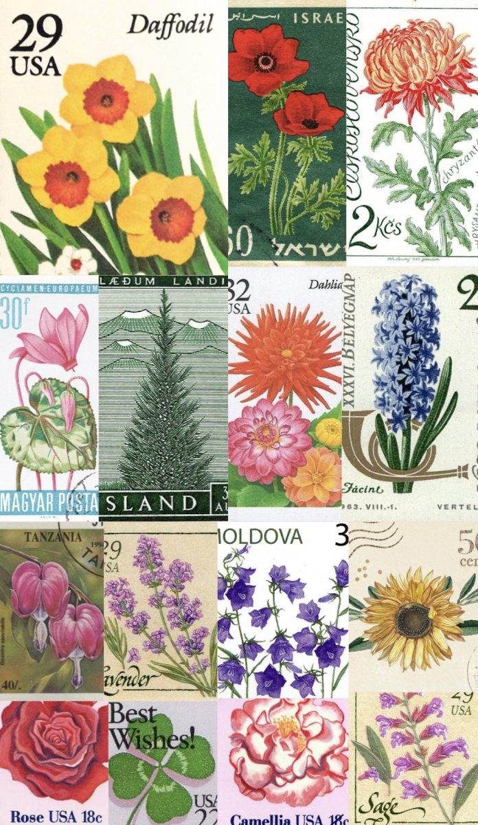 On almost all of my columns, Ive put a floral postage stamp somewhere on the image, corresponding with the flower of the column.
