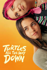 The movie poster for Turtles All the Way Down, featuring Isabela Merced and Cree Cicchino.