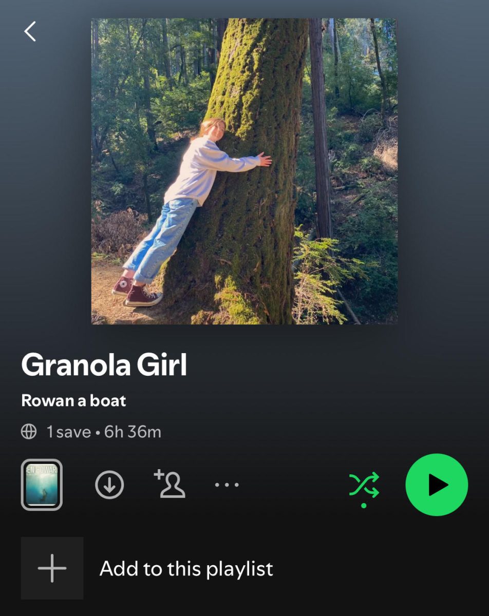 The cover image for my Granola Girl playlist perfectly represents all that it makes me feel.