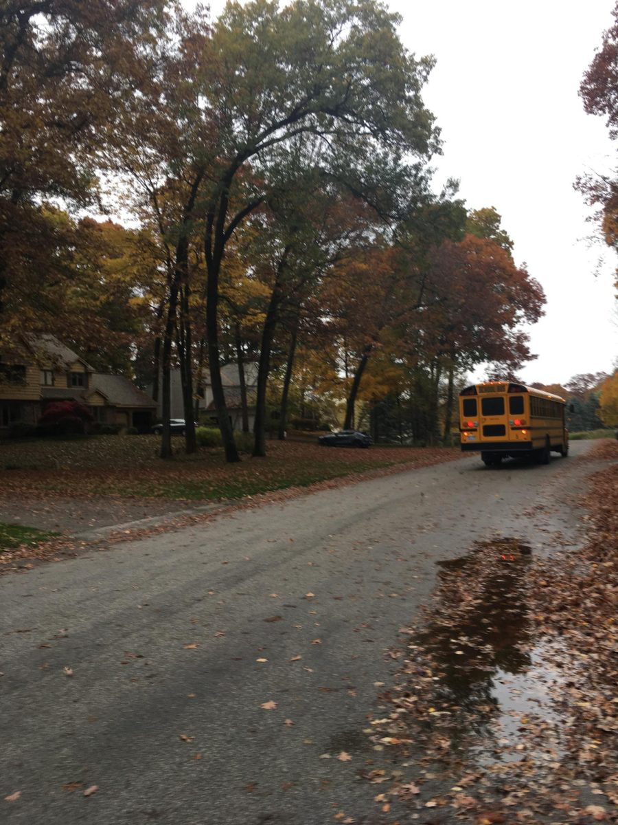 Our neighborhood is different now without our childhood laughter cascading from the streetlights and bus-stop corners.