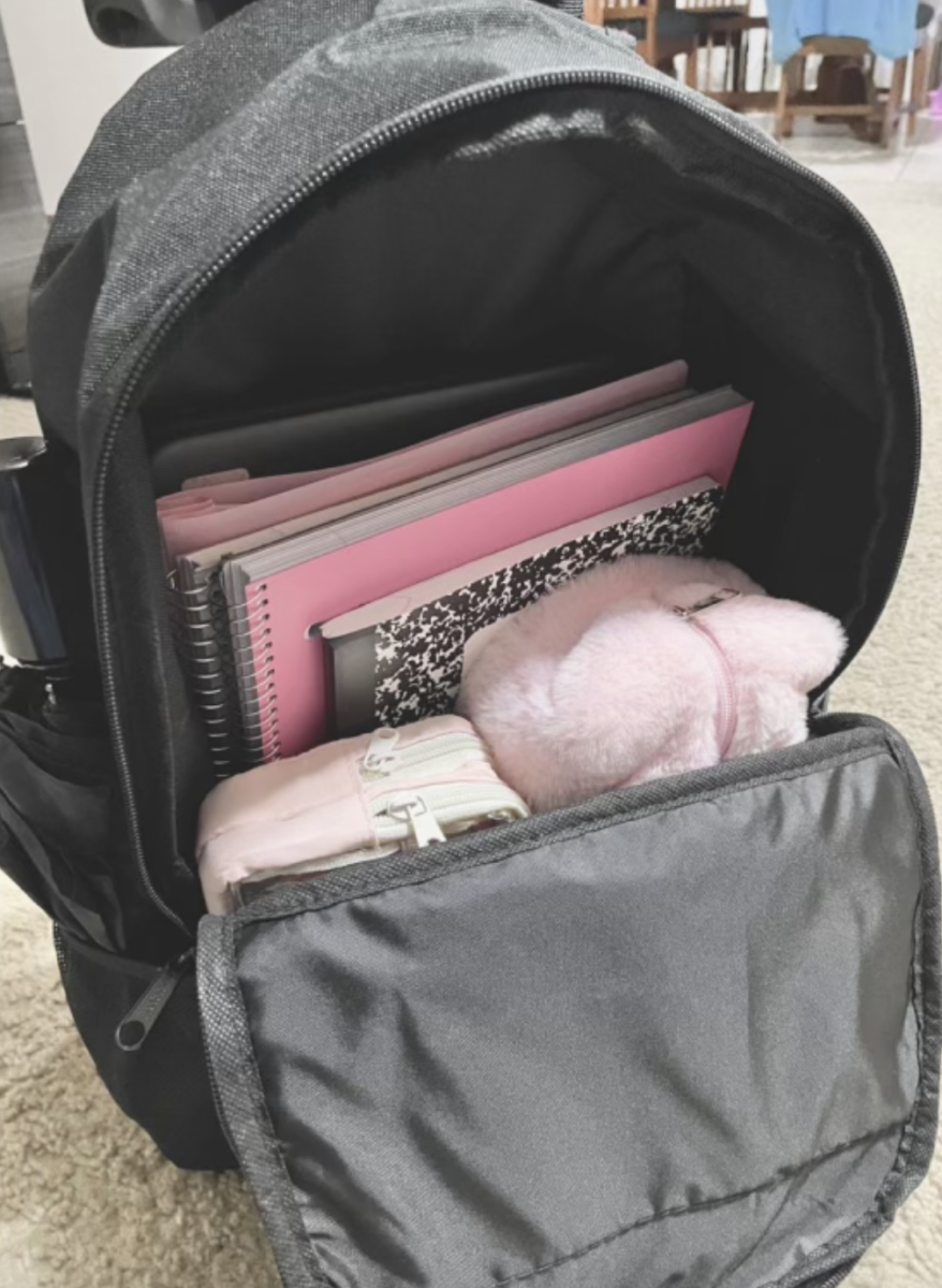 Five tips to make your school bag more organized