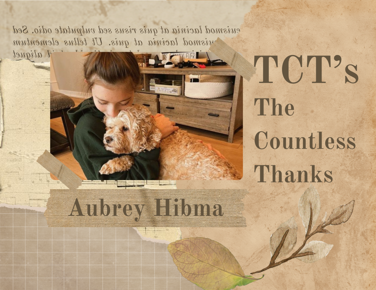 TCT's The Countless Thanks 2024: Aubrey Hibma