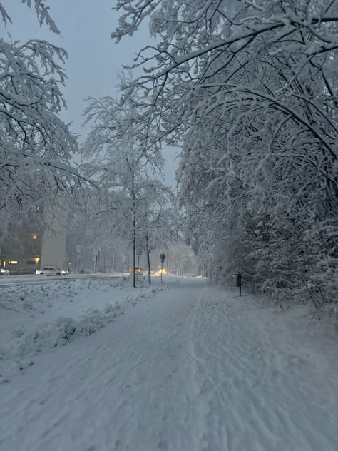 My first snow day was surrounded with snowflakes and traditions.