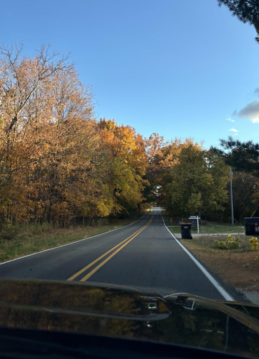 Colored leaves changing as they go through the seasons. 